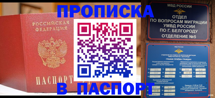 временная регистрация в квартире в Ермолино
